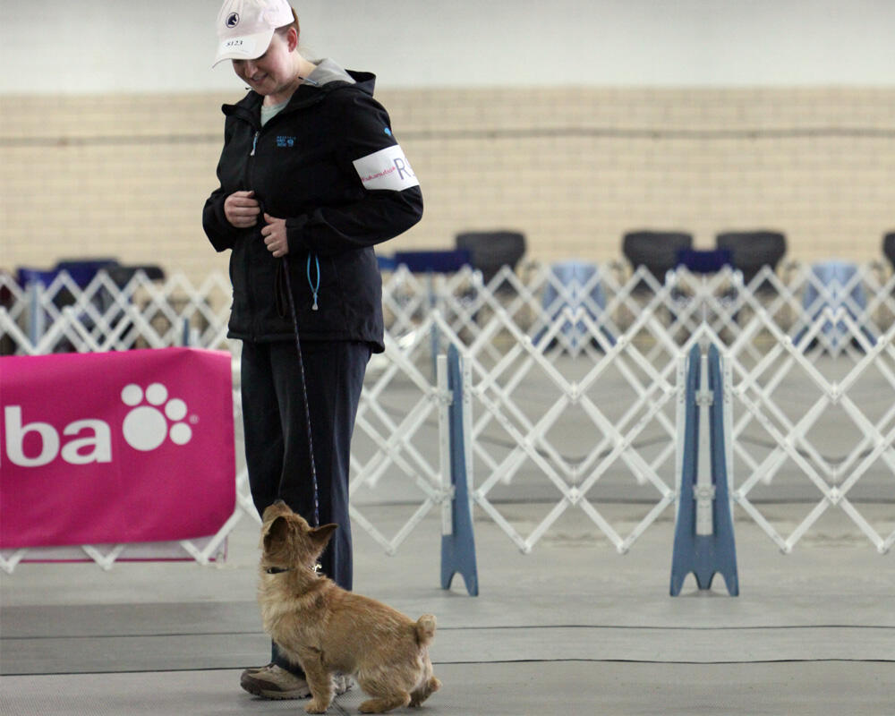 Obedience_