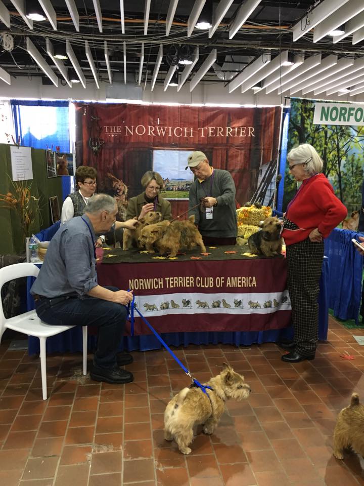 Booth 2-11-17 No. 3