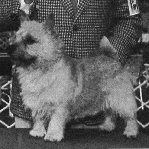 82(1) 82(2) tuffy travis