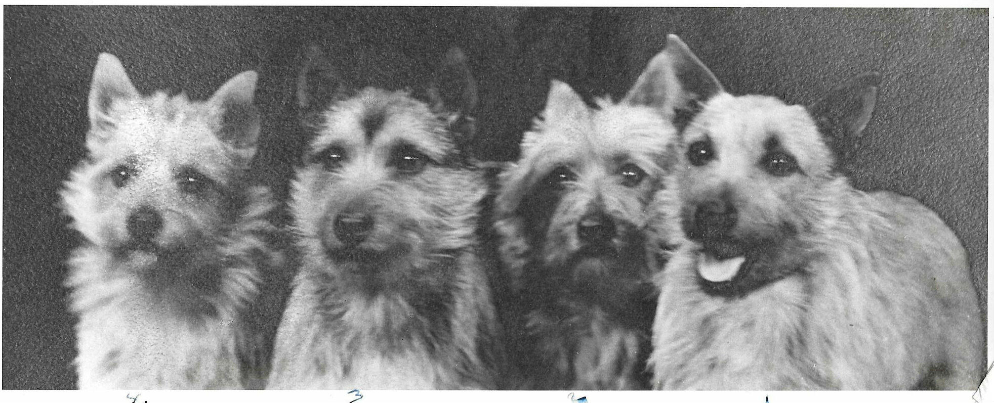 Scan0075