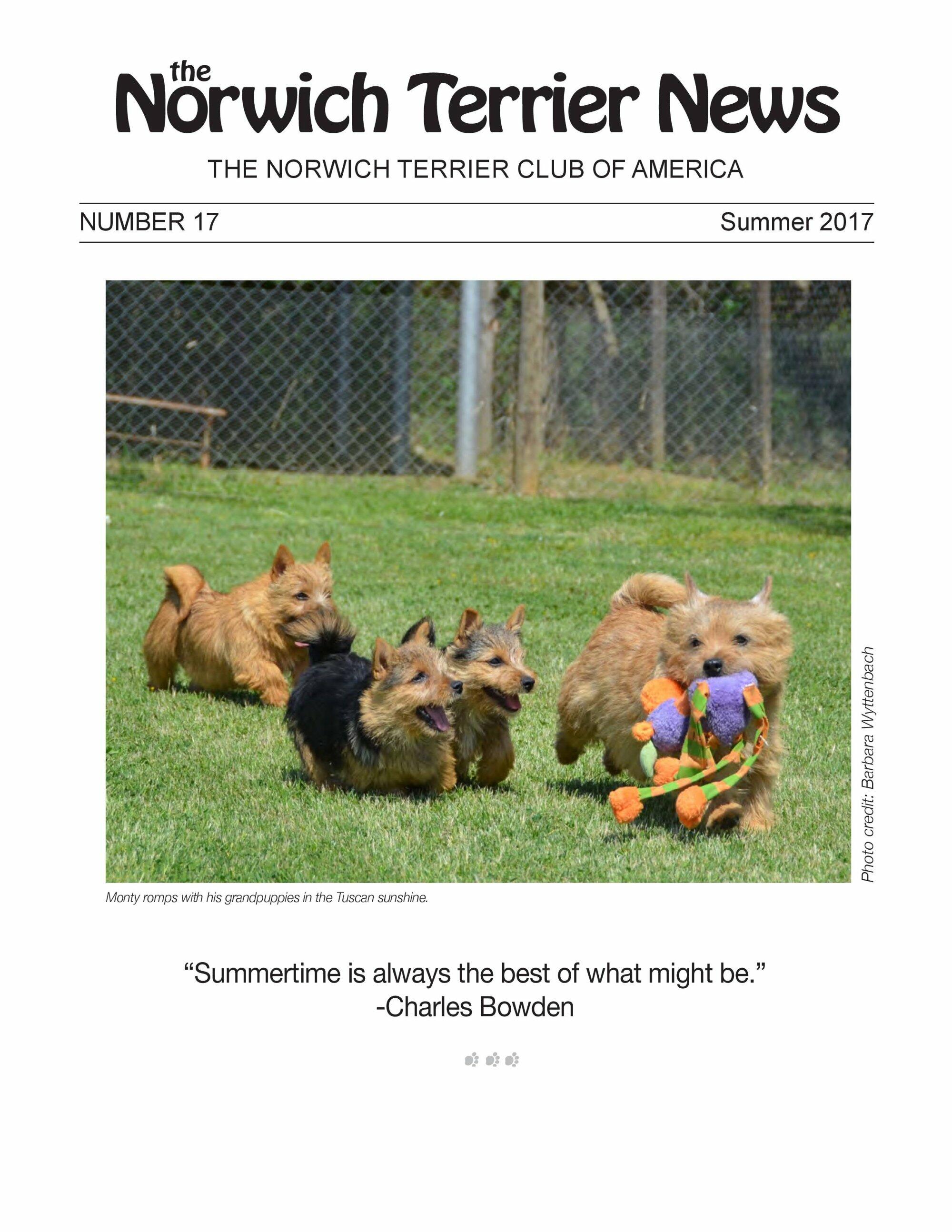 17 COVER