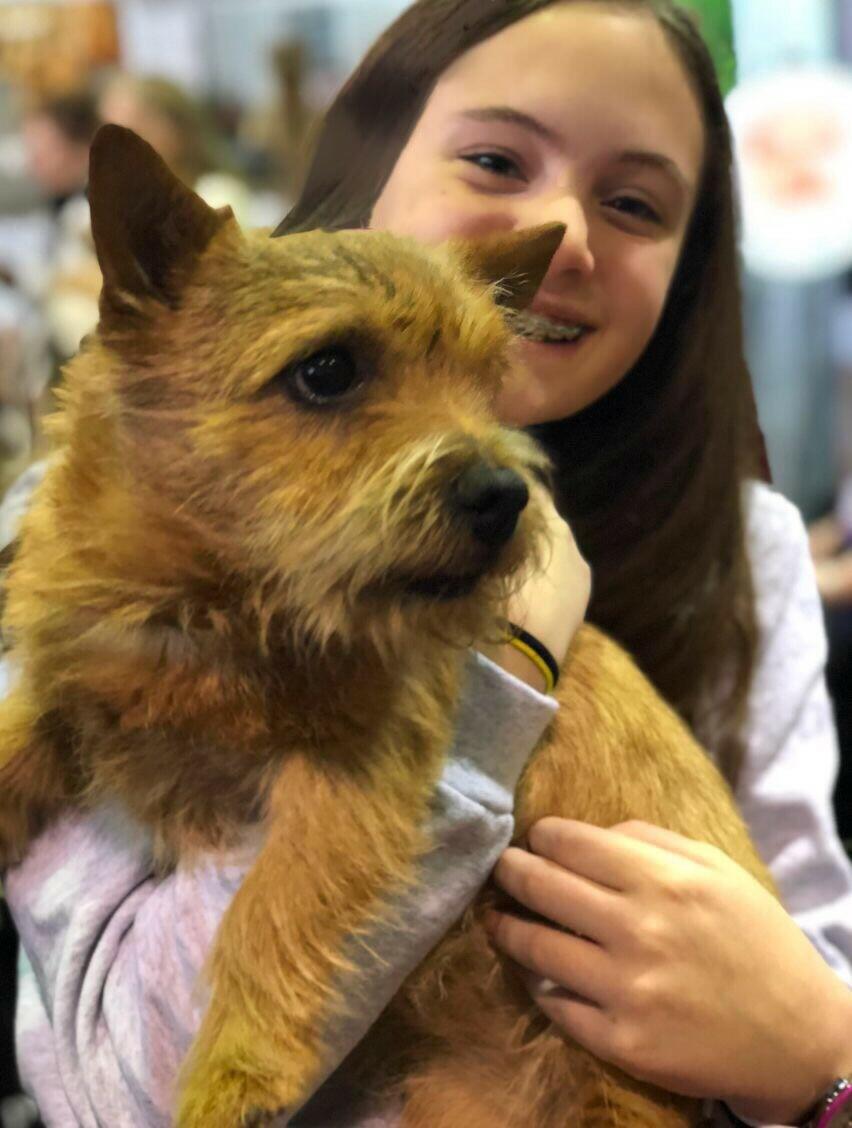 Finn and public 2-10-18 (1)